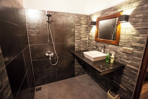 Shower, hair dryer, bidet, towels