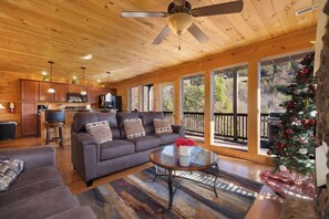 TV connectée, cheminée