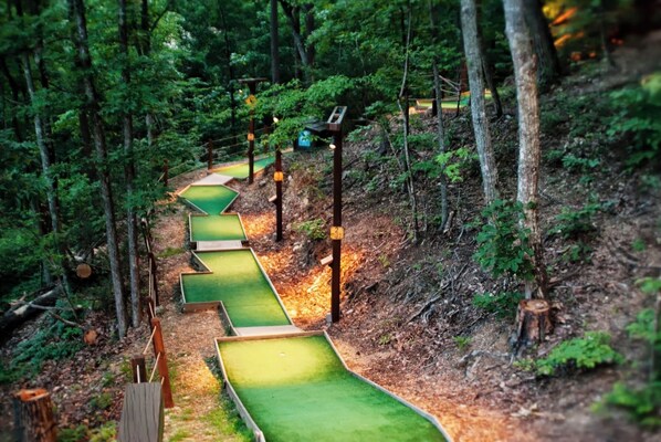 Explore serene forest trails with elevated pathways and wooden railings.