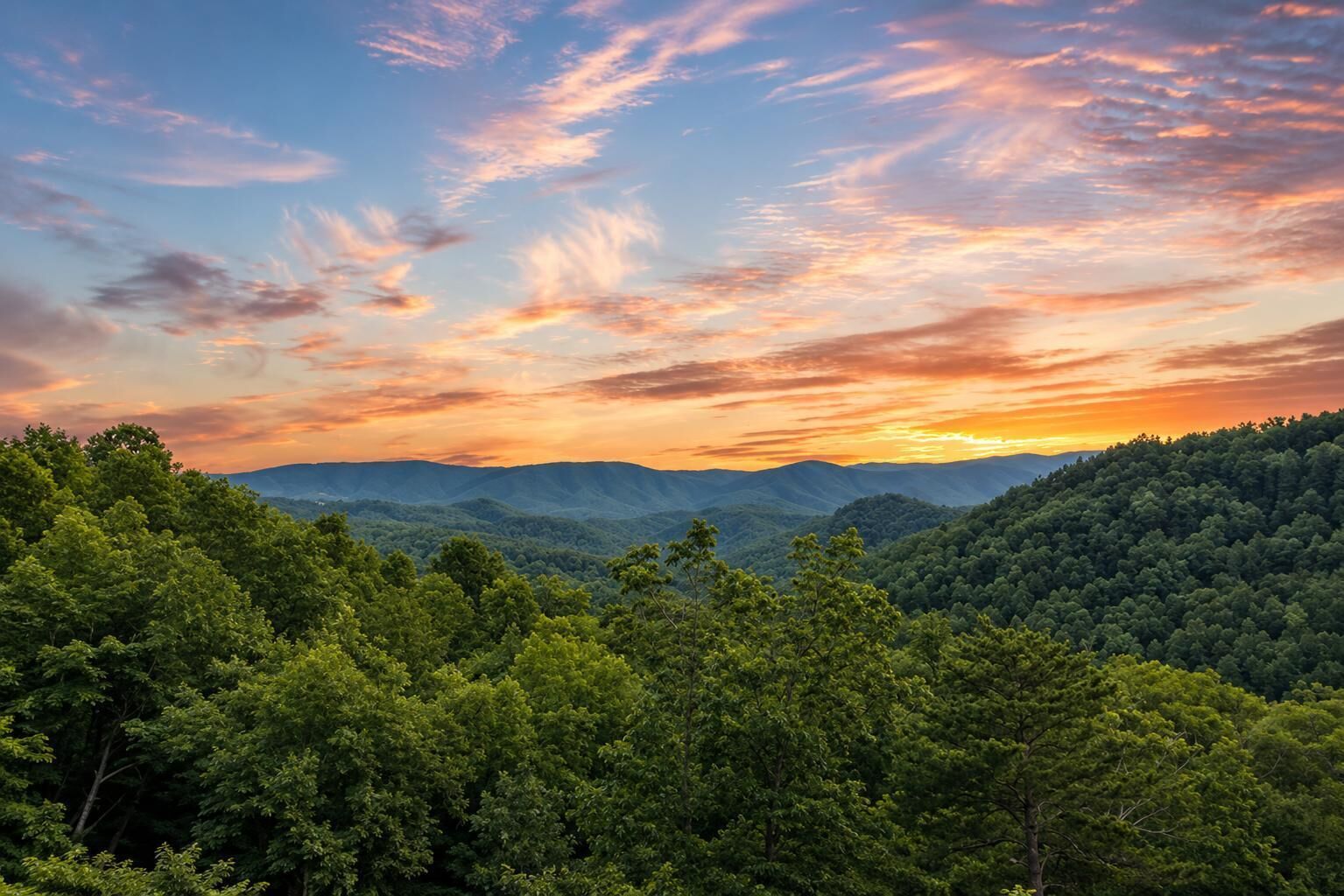 A mountainous landscape with dense forest.