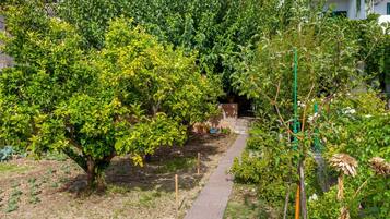 House (Holiday Home) | Exterior