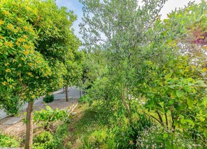 อพาร์ทเมนท์ | วิวจากท  ี่พัก