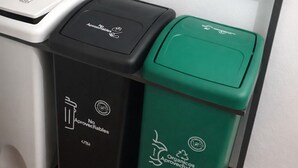 Three trash bins with recycling symbols, one black, one white, and one green, placed against a wall.