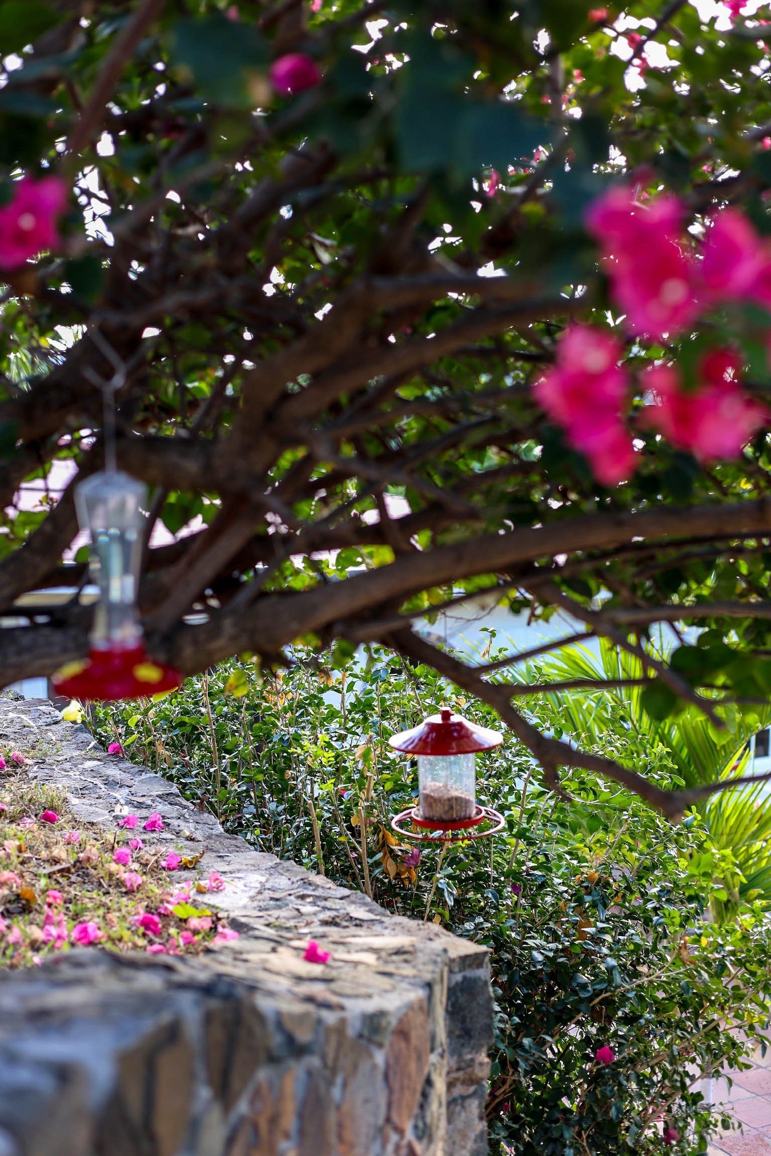 A garden with a stone bench, a bird feeder, and lush greenery.