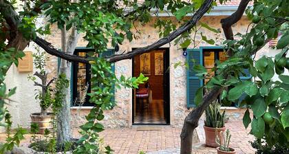 You will find yourself in the secret garden in the heart of Fethiye