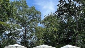 A pool area with lounge chairs and umbrellas, surrounded by trees. - The Shaded Crest (Adults Only 21+) (Lake Lure)