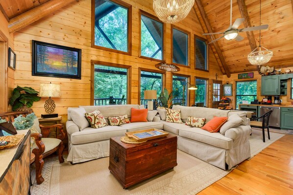 Smart TV, videojuegos, reproductor de DVD y libros 