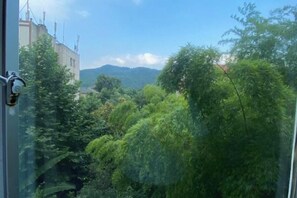 A view through a window with a door handle, a building, and dense green foliage. - Tianmei Hotel (Zunyi club site) (Zunyi)