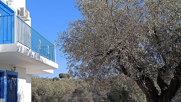 A modern building with a blue balcony, a large tree, and a clear blue sky. - Haraki Blue Houses (Rhodes)