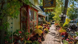 Un fiorista con una insegna che recita "Michael's Flowers Antiques & Garden Treasures" e un cartello con la scritta 'APERTO'.