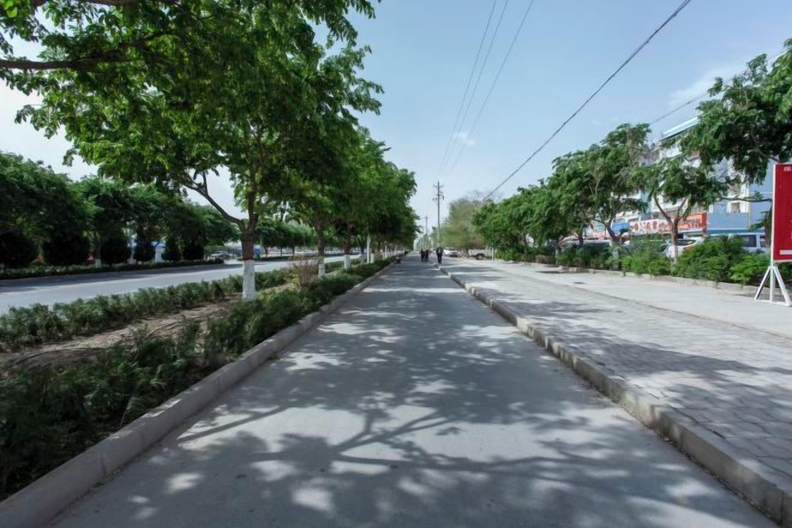 A tree-lined sidewalk with a curb, a clear sky, and distant buildings.