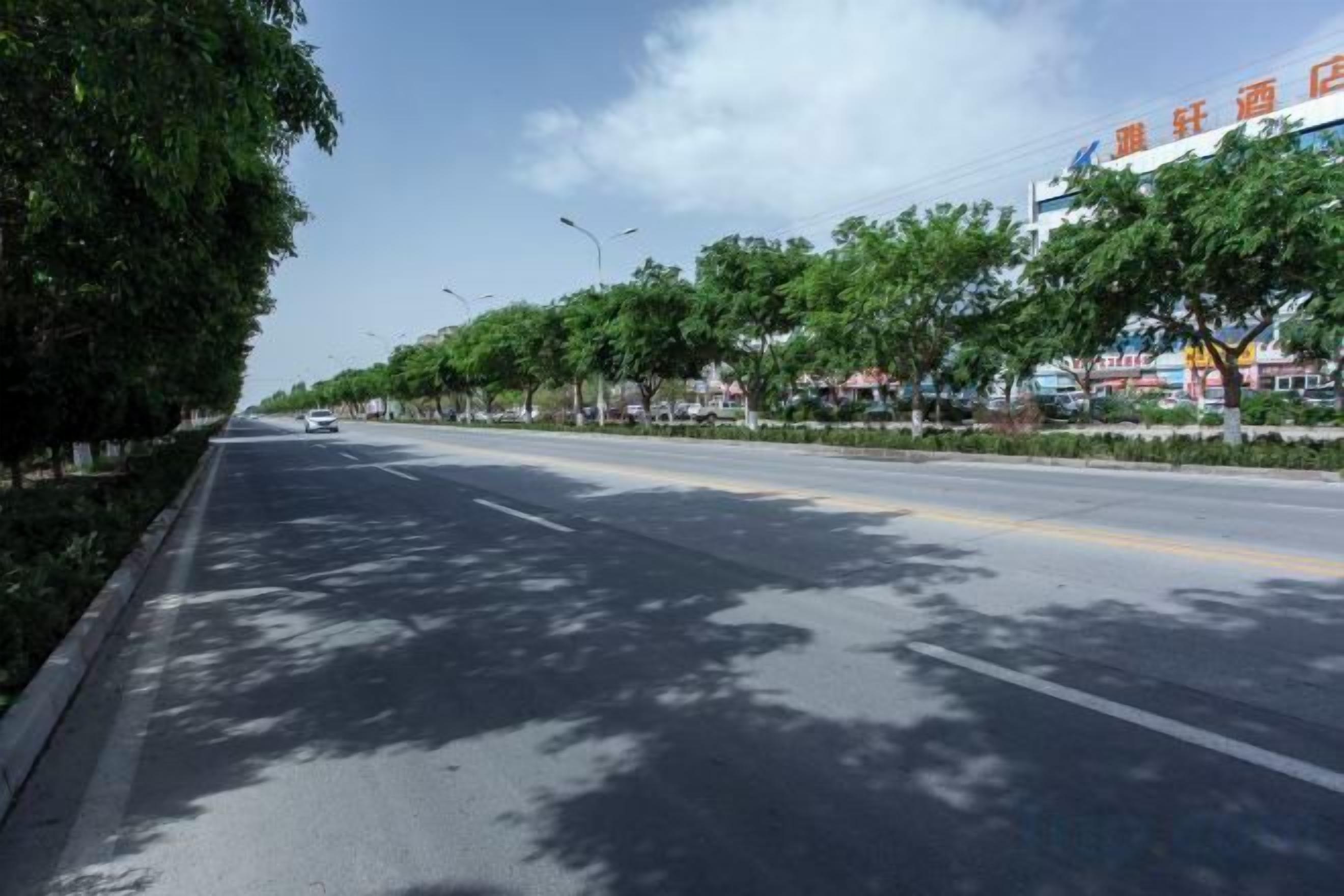 A tree-lined street with a clear sky.