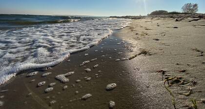 Stylish seaside escape in Nowe Pogórze! Relax & enjoy the view! Wifi free