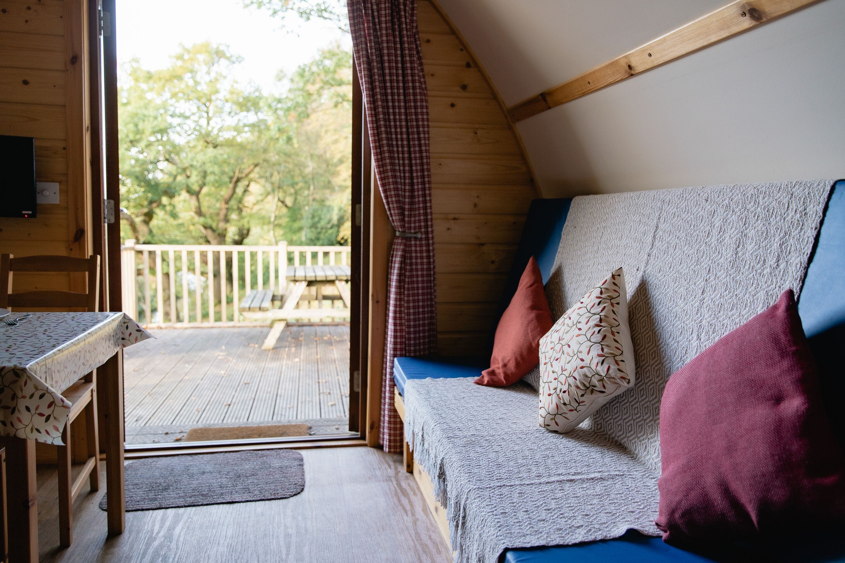 Fernseher, DVD-Player