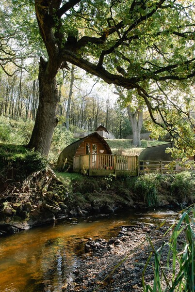 Secluded Woodland Cabin in North Cumbria