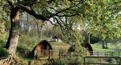Secluded Woodland Cabin in North Cumbria