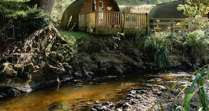 Secluded Woodland Cabin in North Cumbria