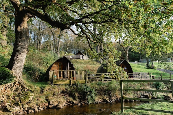 Un chalet rustique doté d’une terrasse en bois, entouré d’un paysage naturel avec un ruisseau et des arbres.