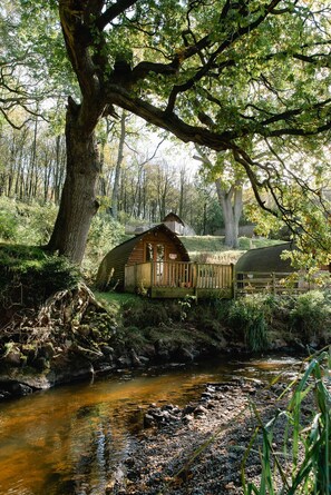 Une cabane rustique au bord d’un ruisseau, au cœur d’une forêt.