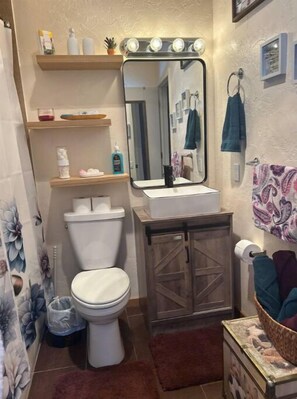 Hair dryer, towels, soap, shampoo