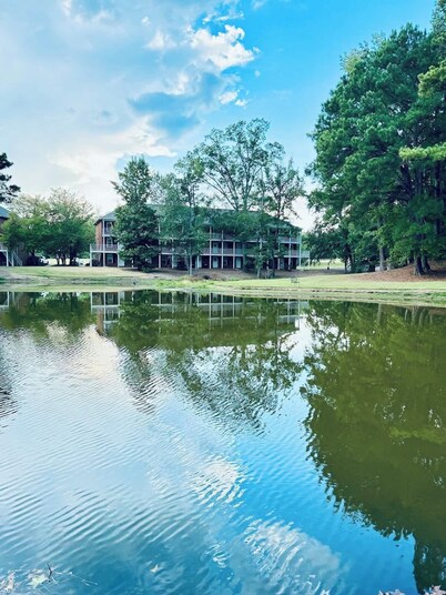 Lakefront, Incredible Condo by College St-King Bed, Full Kitchen, Full Bathroom