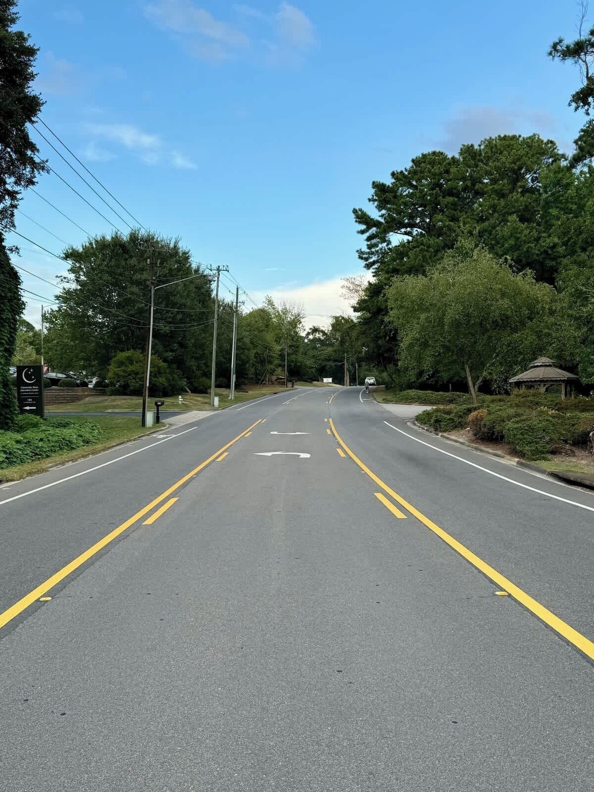 A two-lane road with a clear sky, surrounded by greenery and a gazebo.