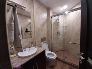 Regadera, secadora de cabello, toallas, jabón 