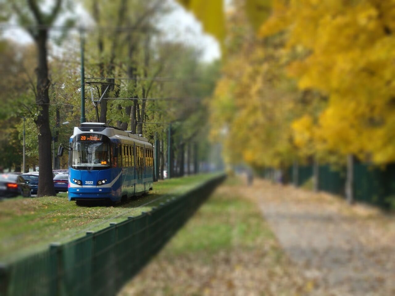 泊車