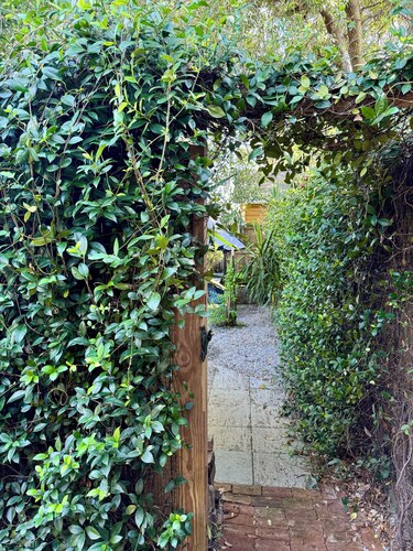 Charming Studio Cabin under Oak tree 2 mins walk to Magazine quiet neighborhood,