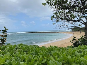 Sun loungers, beach towels