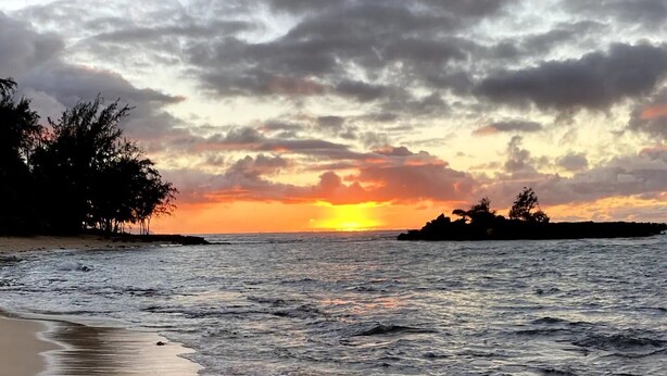 Una playa con un atardecer, olas tranquilas y siluetas de árboles.
