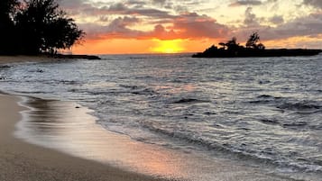 Camastros y toallas de playa