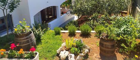 Overnatningsstedets område