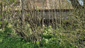 Eksteriør