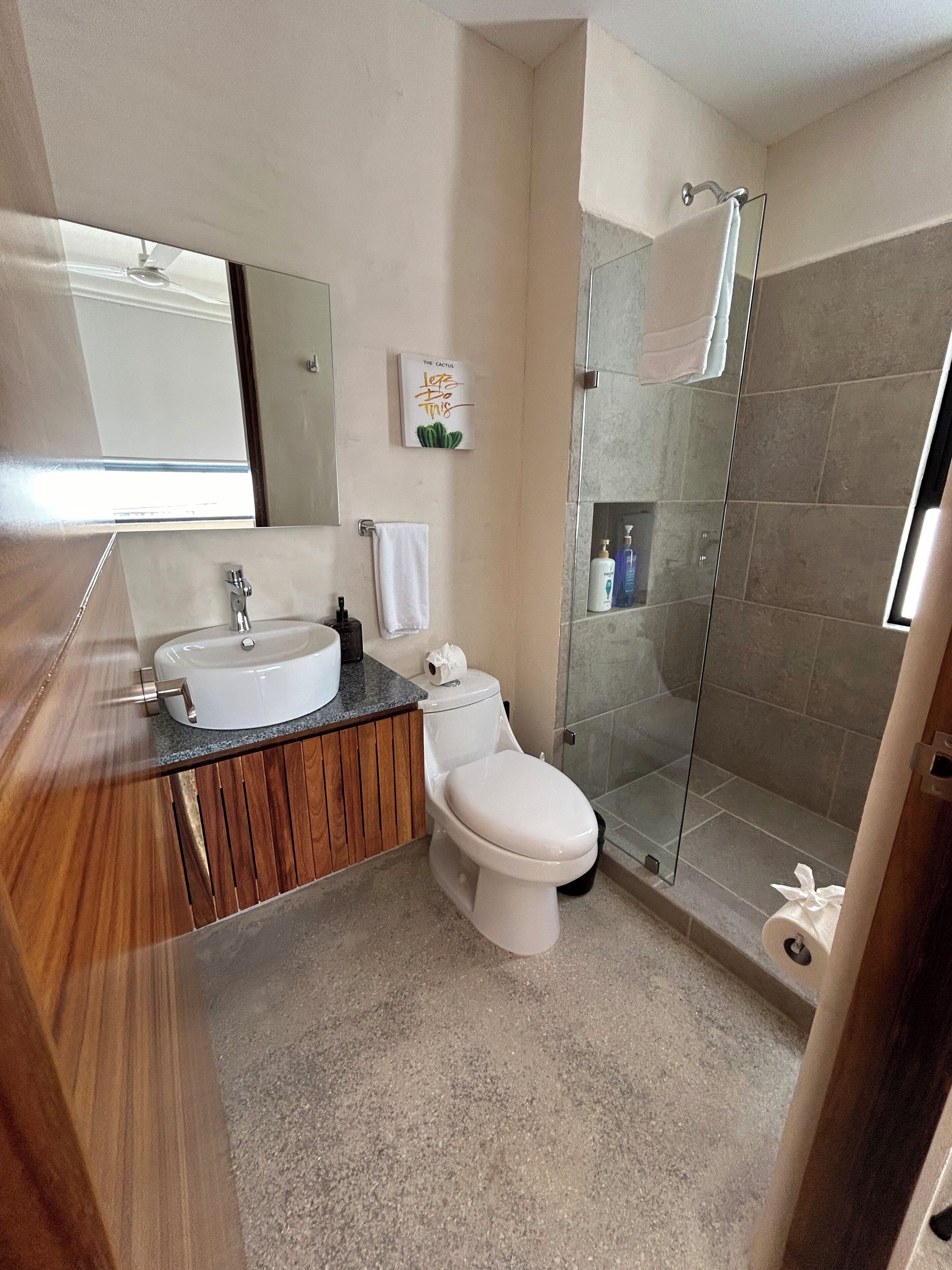 Shower, hair dryer, towels