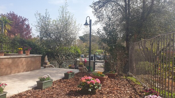 A garden with potted plants and a street lamp. - Villa "Domus Roma" - Room Piazza Navona (Roma)