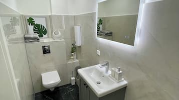 Douche, sĂšche-cheveux, serviettes fournies, papier toilette