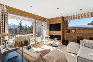 Télévision, cheminée, lecteur de DVD