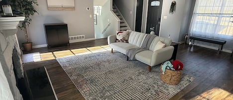 Smart TV, fireplace, books