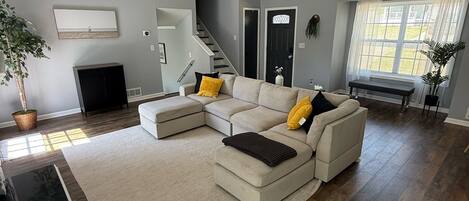 Smart TV, fireplace, books