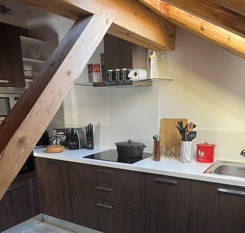 Appartement  de Charme au Centre du Village de Praz sur Arly, idéal en famille