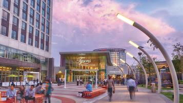 Apartment | 1 bedroom