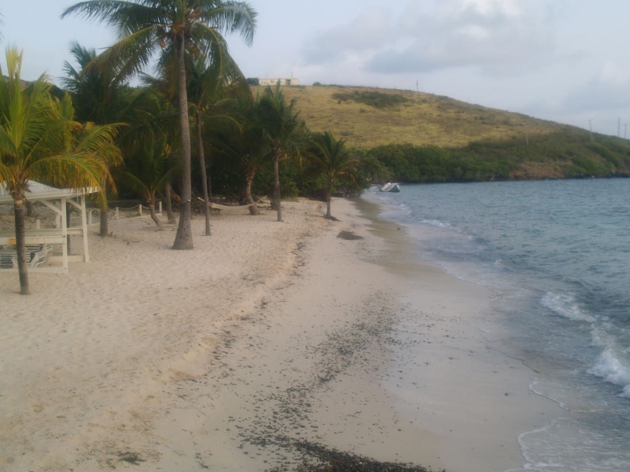 A beach with palm trees, a sandy shore, and a hill in the background.