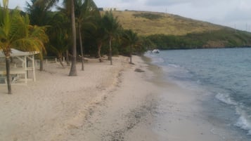 A beach with palm trees, a sandy shore, and a hill in the background.