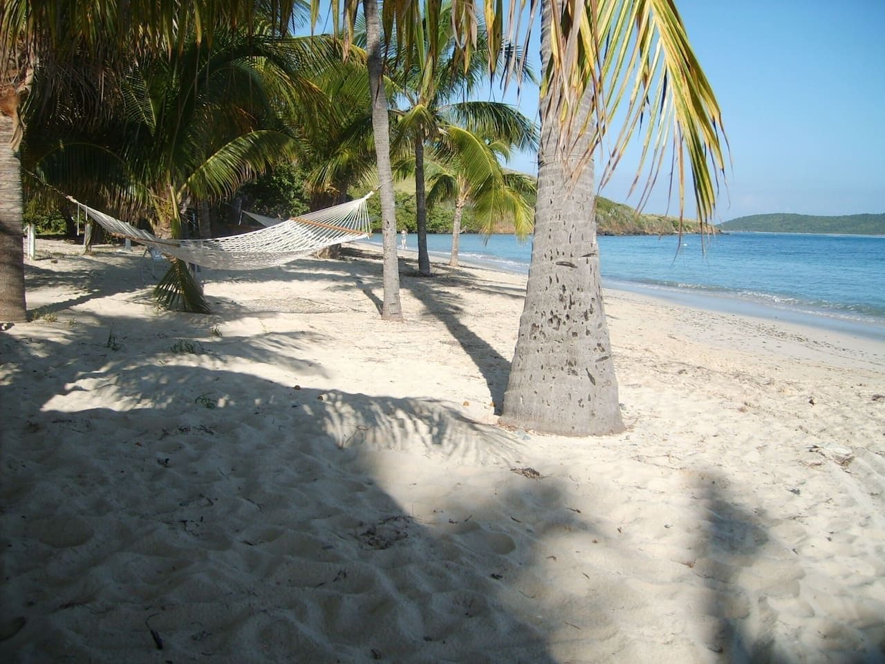 Een zanderig strand met een hangmat en palmbomen.