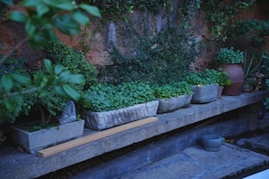 Un saliente de piedra con plantas en macetas y una tabla de madera.