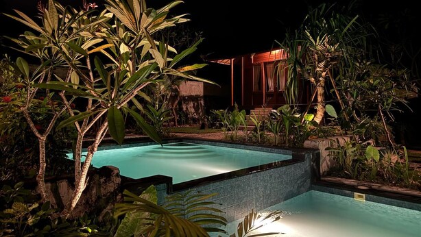 Une vue nocturne d’une piscine entourée de plantes tropicales et d’un bâtiment en bois.