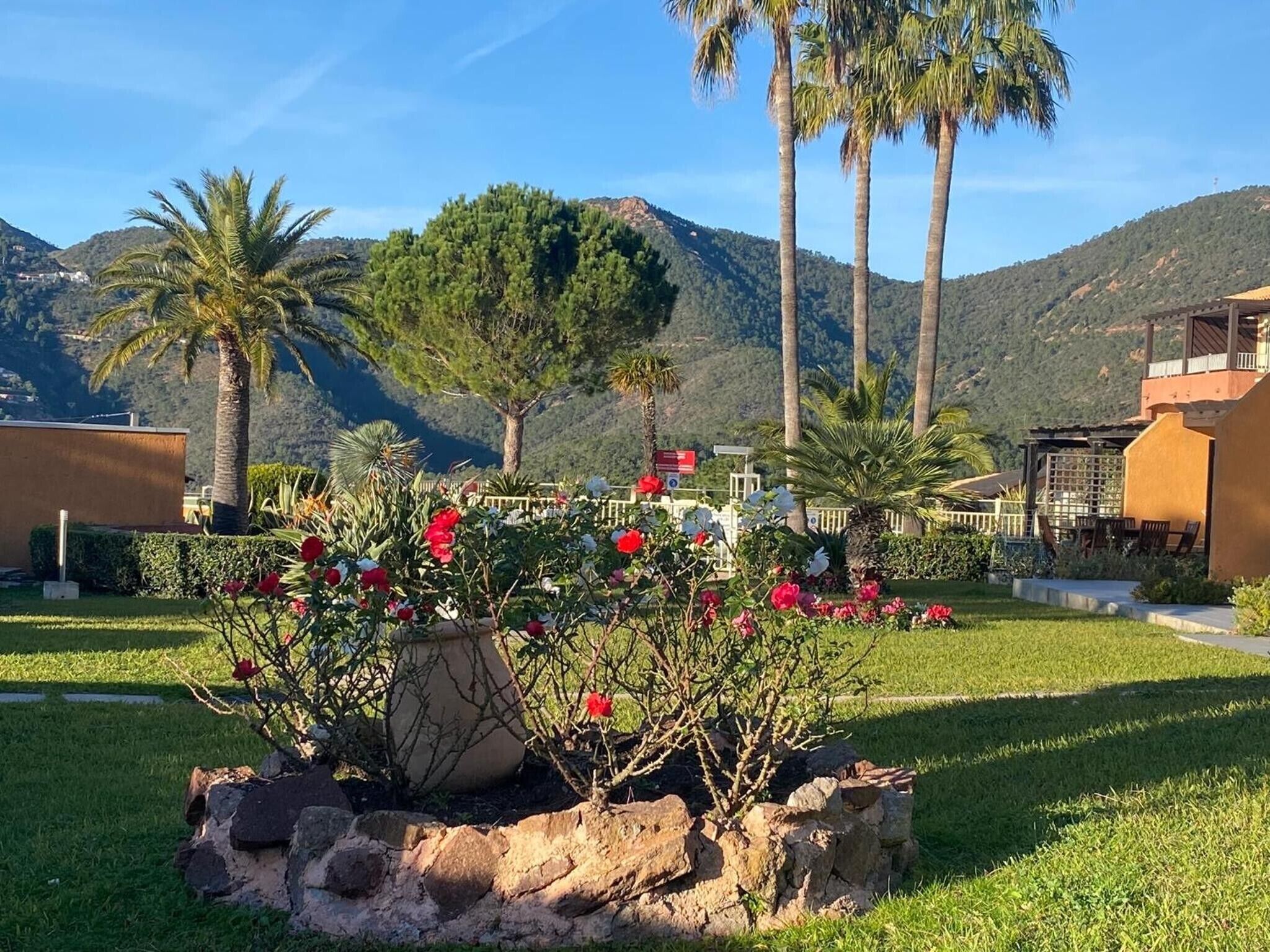 Terrein van de accommodatie