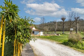 A rural road leading to a small building with a red roof, surrounded by greenery and trees.