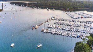 Un puerto deportivo con numerosas embarcaciones amarradas, un puente al fondo y una zona boscosa.